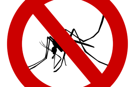 GrandBassam: Inondation , Démoustication