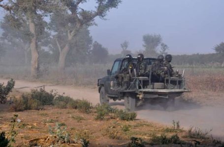 « Au Cameroun, on constate une sophistication tactique de Boko Haram »