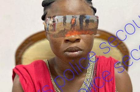 C’est parce qu’elle me plaît que le l’ai enlevée (Koffi Aya Anne, ravisseuse de la petite Zoé)