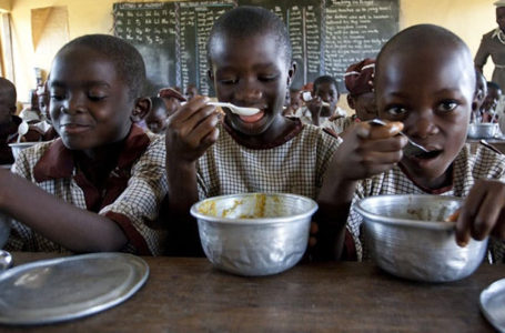Une Ong française veut lutter contre la malnutrition en Afrique de l’ouest