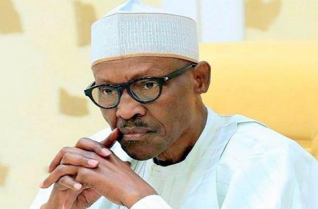 Le Nigeria dévoile la date où il adoptera le visa à l’entrée pour les Africains