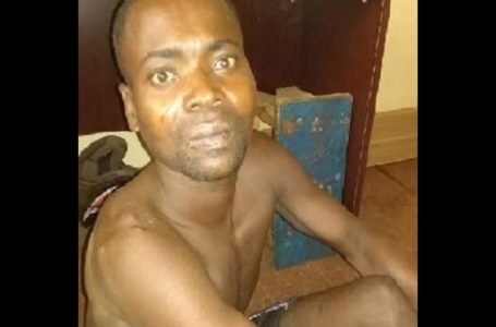 Ghana: il tue son frère à cause de la tête d’un chien qu’ils ont cuisiné