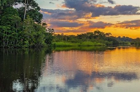 L’incroyable histoire d’une famille qui a survécu un mois dans la forêt de l’Amazonie