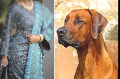 « Mon mari me droguait pour que son chien couche avec moi », une femme raconte comment elle a perdu son utérus