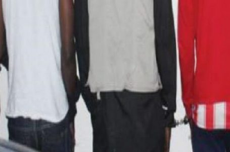 Prostitution masculine au Sénégal : trois étudiants de l’UCAD condamnés