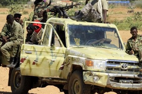 Soudan : une attaque au Darfour fait plus de 60 morts