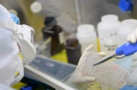 Une nouvelle étude révèle comment le coronavirus pourrait infecter quotidiennement les populations