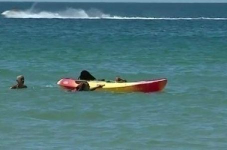 Le président du Portugal sauve deux femmes en difficulté en mer