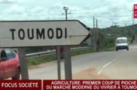 Toumodi : Il découpe un homme à la machette et se fait brûler vif par la foule