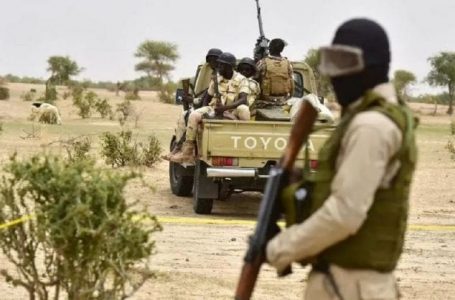 Niger : 6 touristes français tués par des hommes armés dans un parc animalier