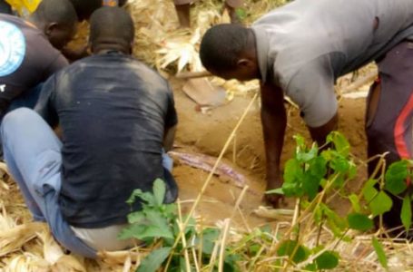 Une sexagénaire assassinée et enterrée dans son champ