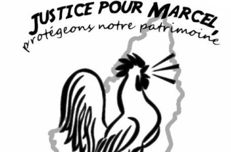 Plus de 74 000 personnes en colère réclament justice pour un coq tué dans un village