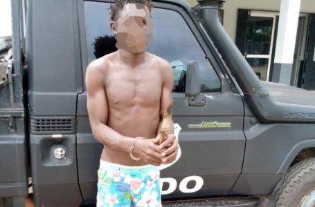 Yamoussoukro : Un dangereux individu interpellé par la CCDO dans le village de Seman