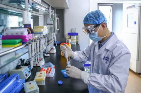 Vaccin contre le covid-19 : la Chine fait des découvertes à partir des cellules d’insectes