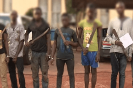 Côte d’Ivoire / Insécurité : le phénomène des microbes, un mal grandissant