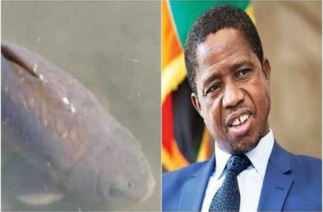 Zambie : le président Edgar Lungu rend hommage à un poisson décédé