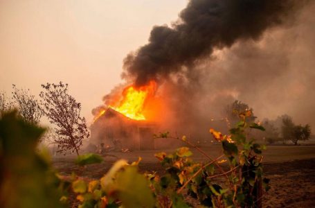 Incendie en Californie : les feux de forêt font 26 morts