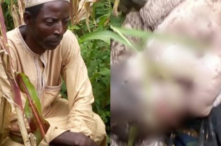 Un homme arrêté pour avoir enterré vivant son petit-fils