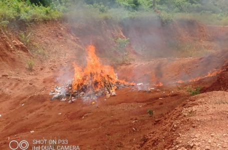 Abengourou : Près d’une tonne de drogue et de stupéfiants incinérée dans l’Indénié