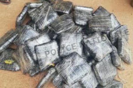 Niablé : Une importante quantité de drogue saisie à la frontière Ivoiro-ghanéenne