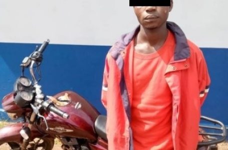 Vavoua : il est appréhendé en pleine vente d’une moto volée