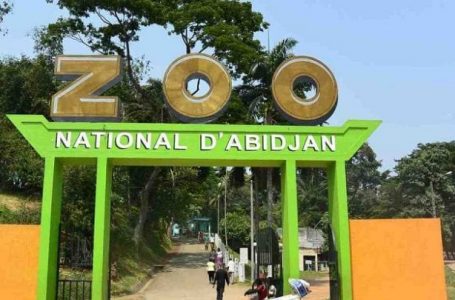 Côte d’Ivoire : un employé de Zoo licencié pour avoir dénoncé des anomalies