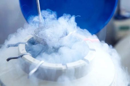 Ces erreurs génétiques qui pourraient façonner notre espèce