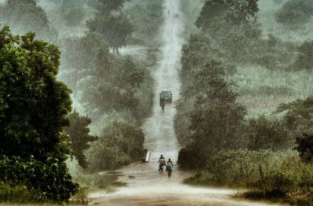 Comment les excréments humains peuvent protéger les forêts